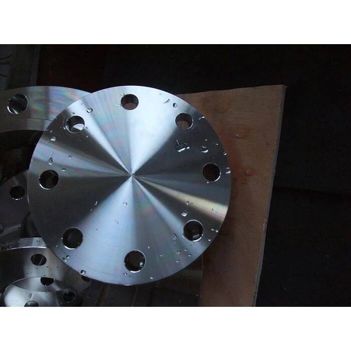 Brida Ff de acero inoxidable 316