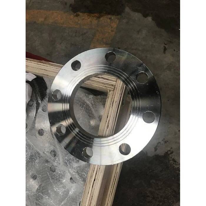 Brida Ff de acero inoxidable 316